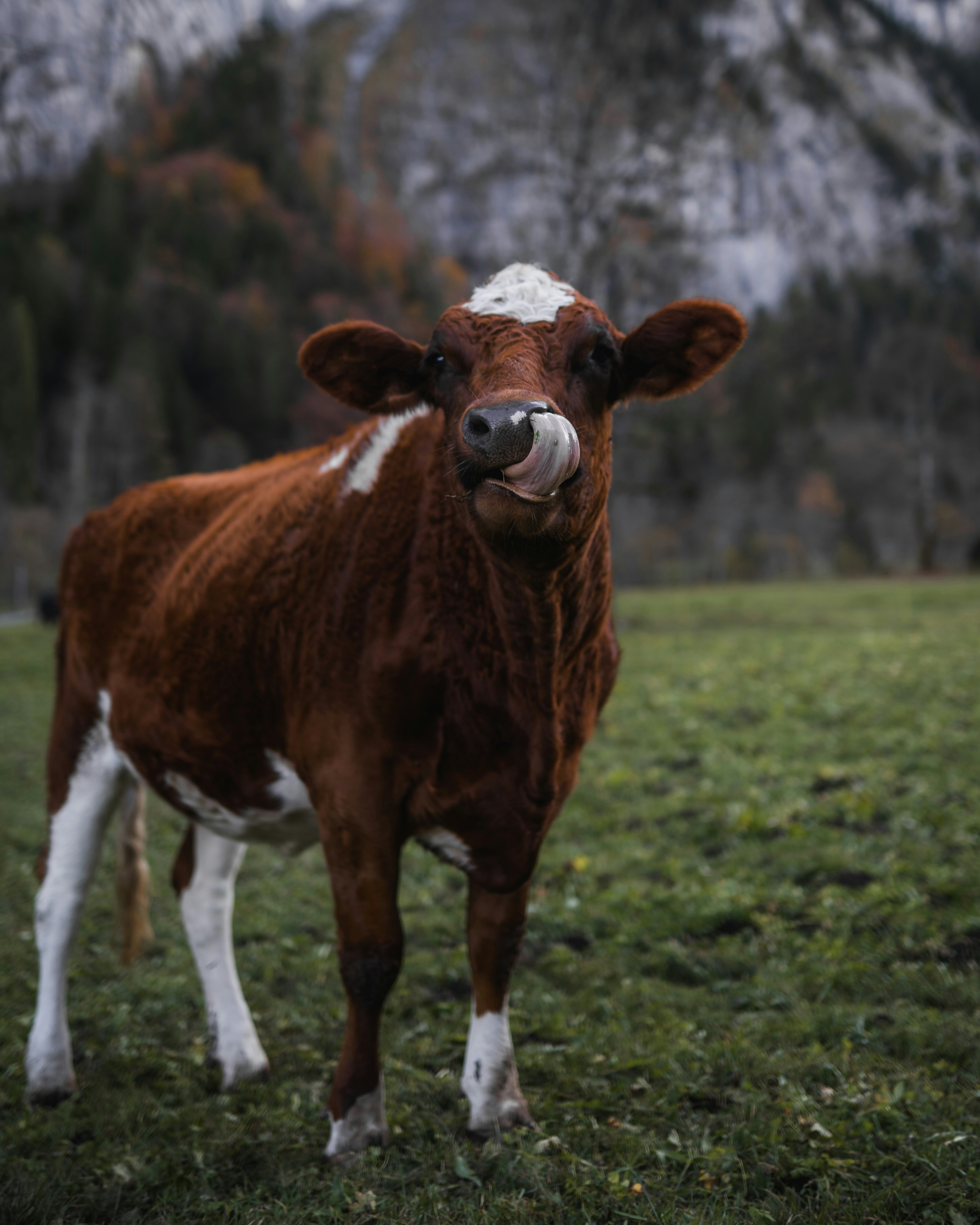 Photo by spensersembrat