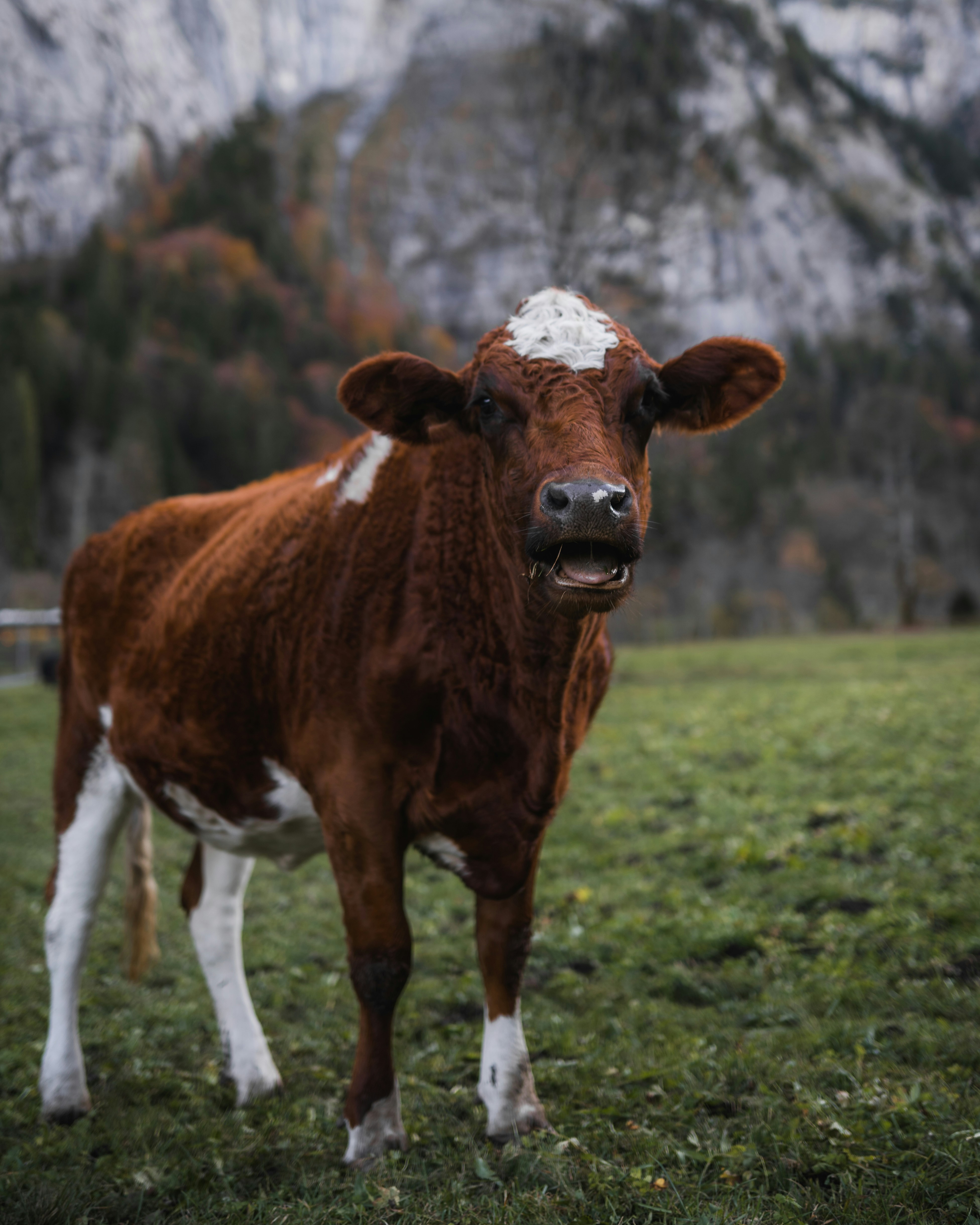 Photo by spensersembrat