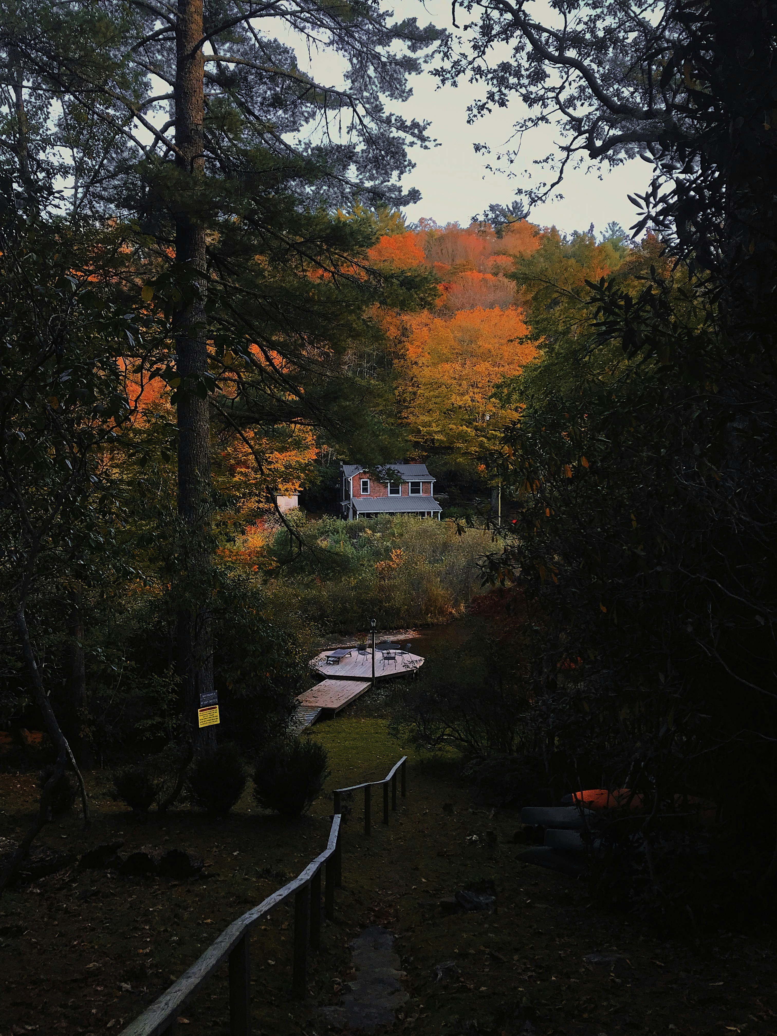 a house in the woods