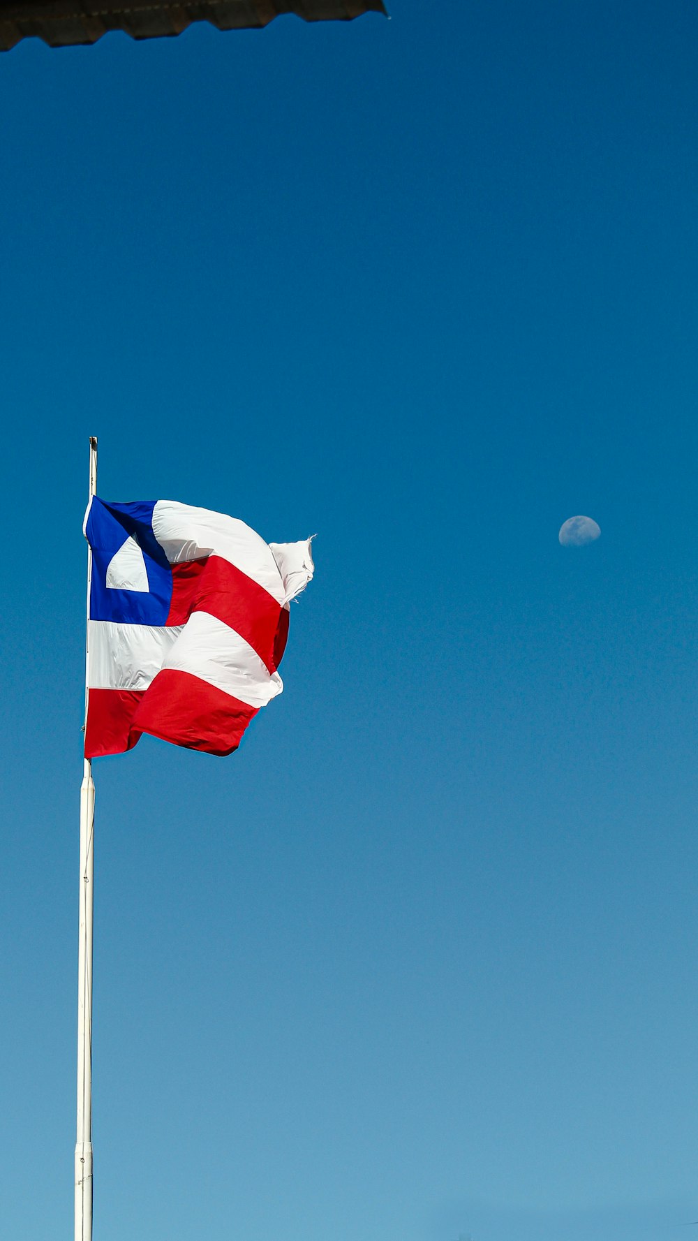 a flag on a pole