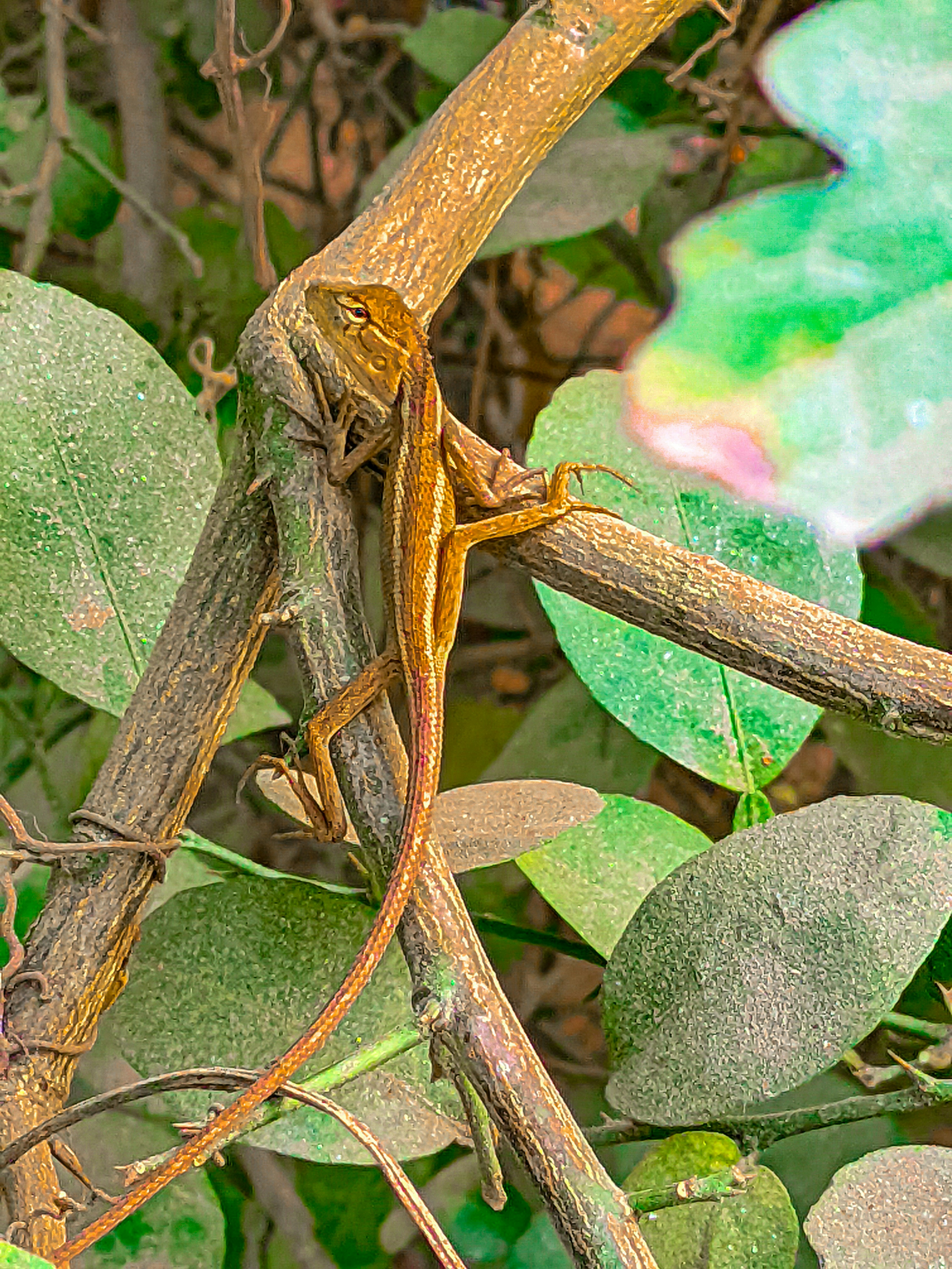 Photo by mubinurrahmanmrp