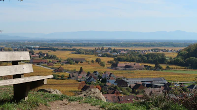 a town with trees and hills