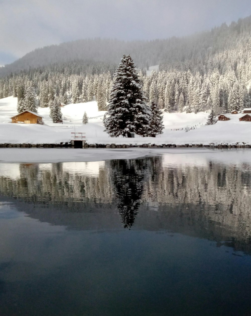 a lake with snow and trees