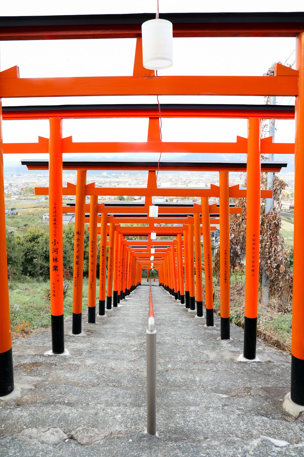 a row of orange poles with Fushimi Inari-taisha in the background