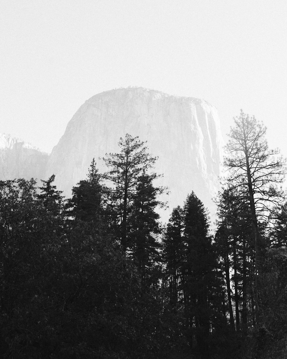 a mountain with trees in front of it