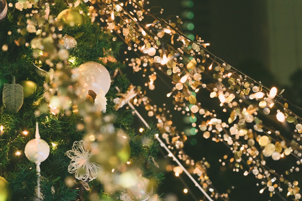 a close up of a tree branch