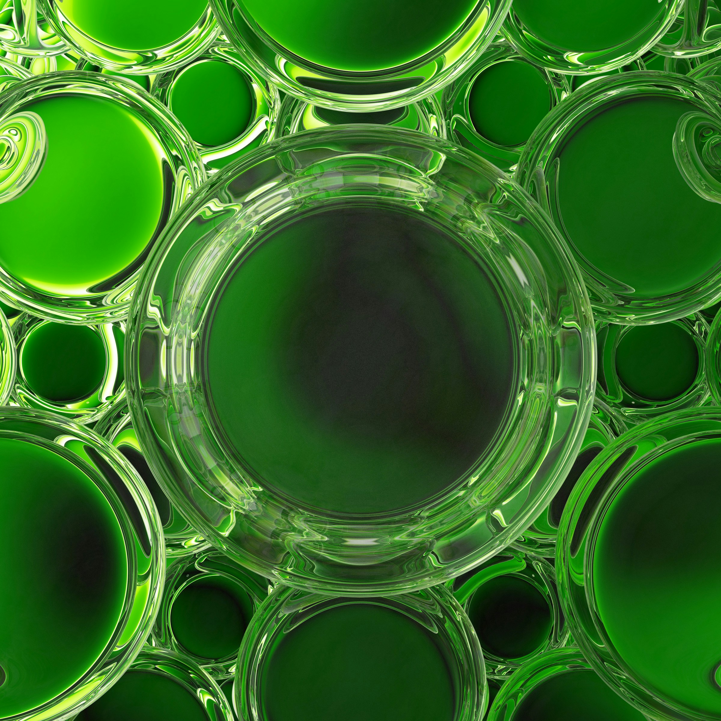 Photo by rick_rothenberg