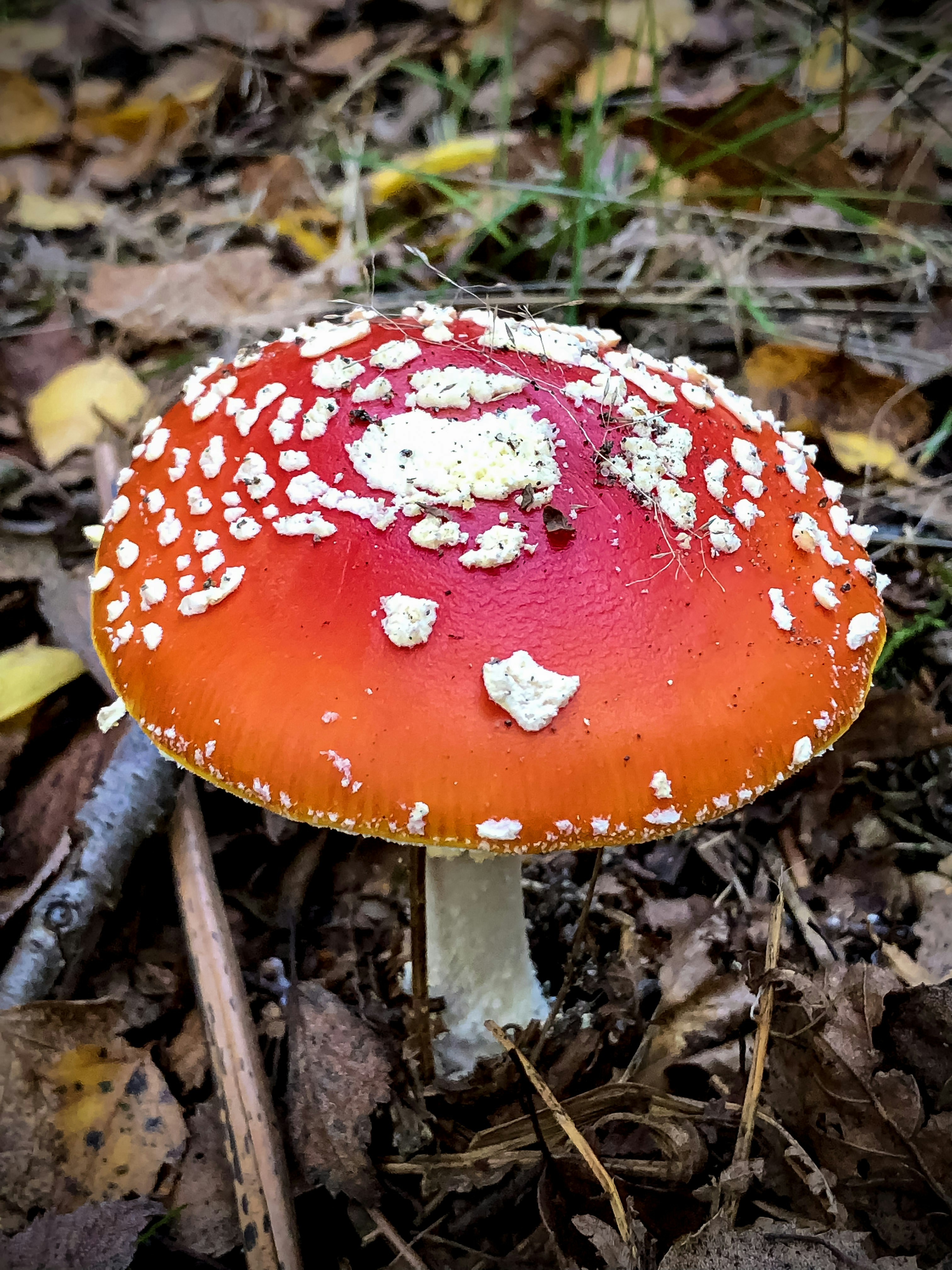 Photo by wendy_geers