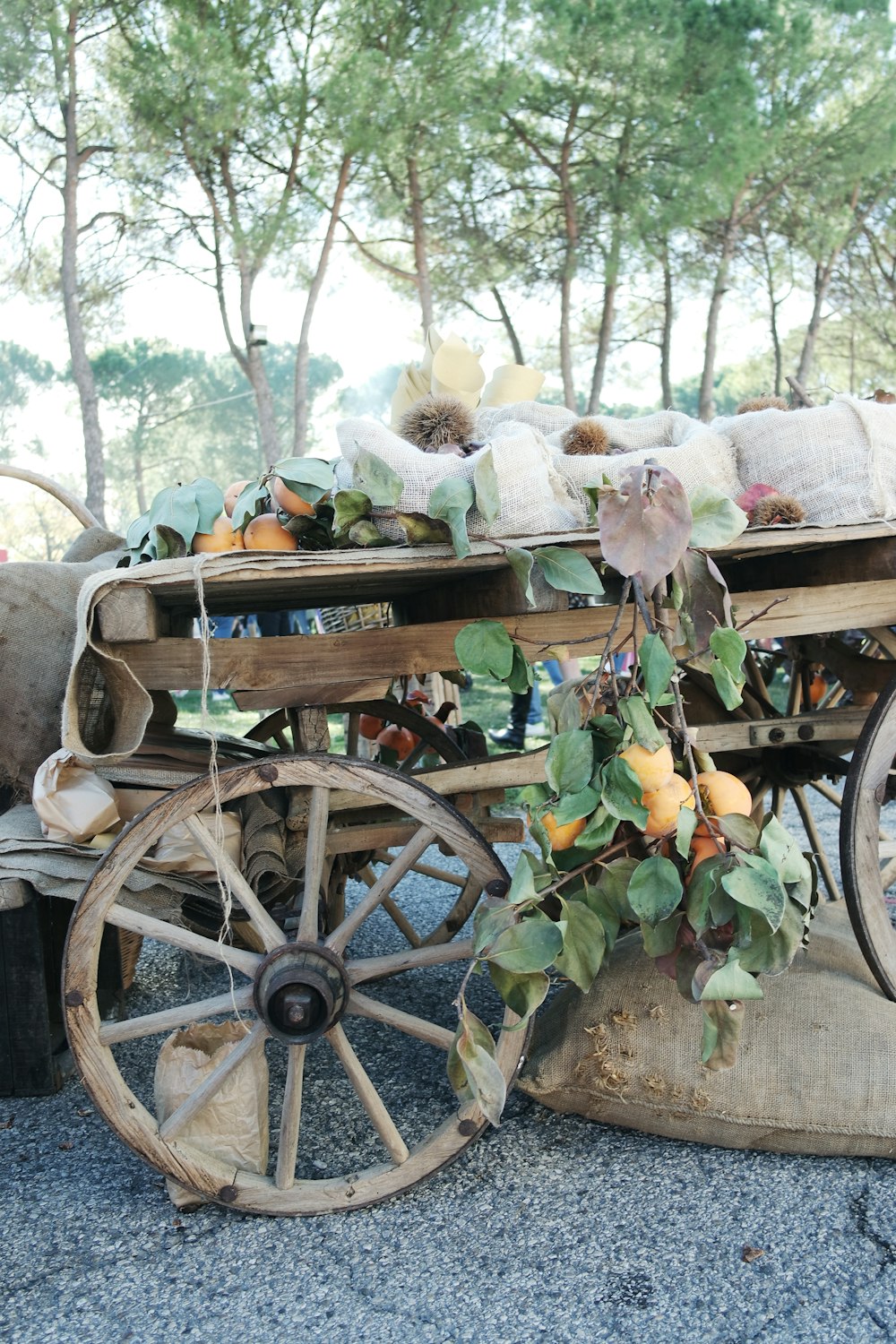 a cart full of vegetables