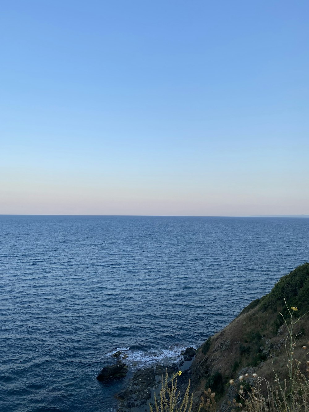 a body of water with rocks and plants on the side