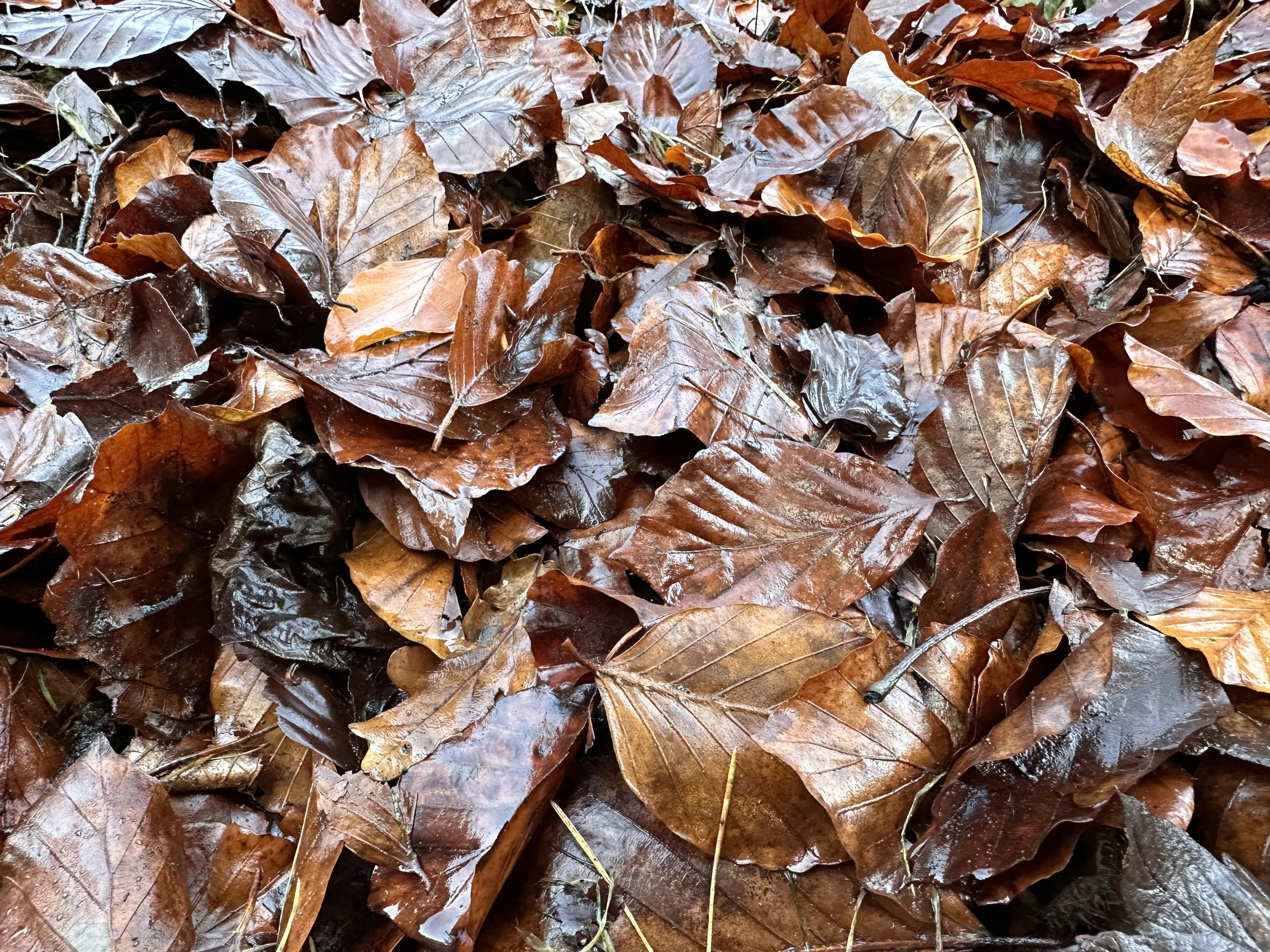 Photo by hooverpaul55