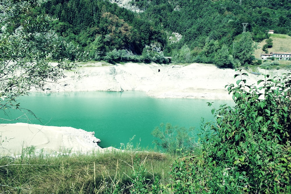 a body of water surrounded by trees