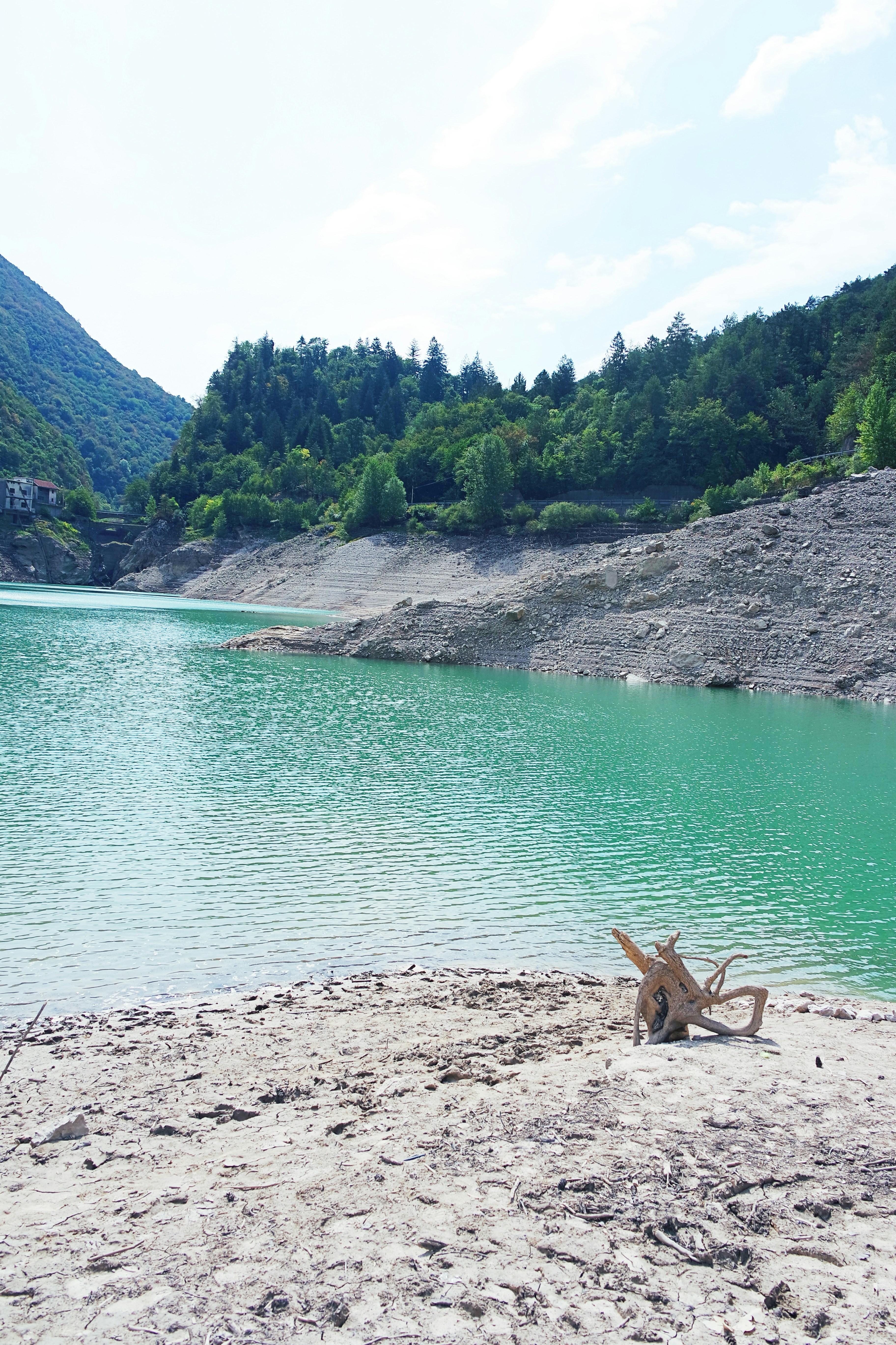a beach with a body of water and trees in the background