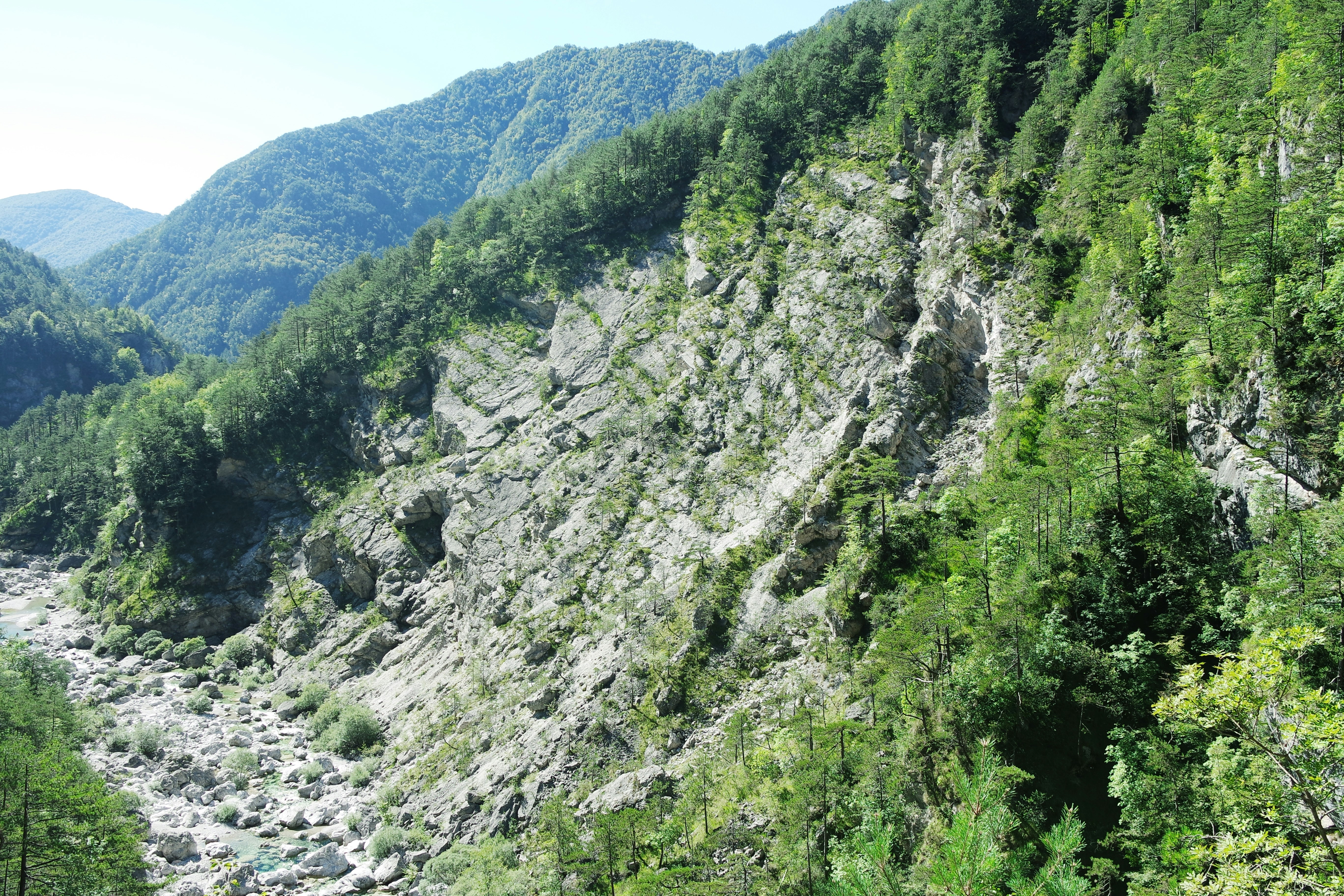 a rocky hillside with trees