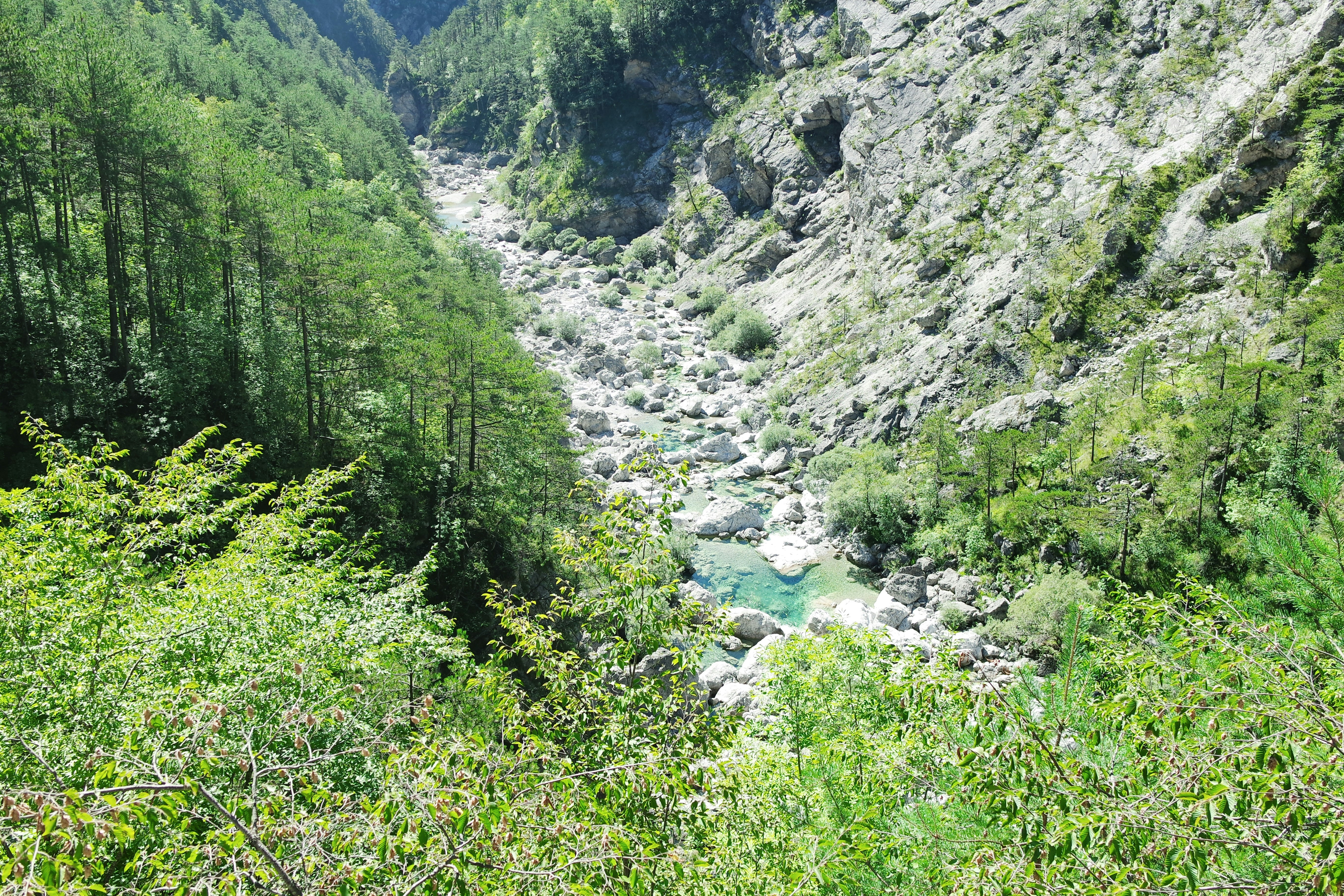 AtlasIED IPX Visual Displays