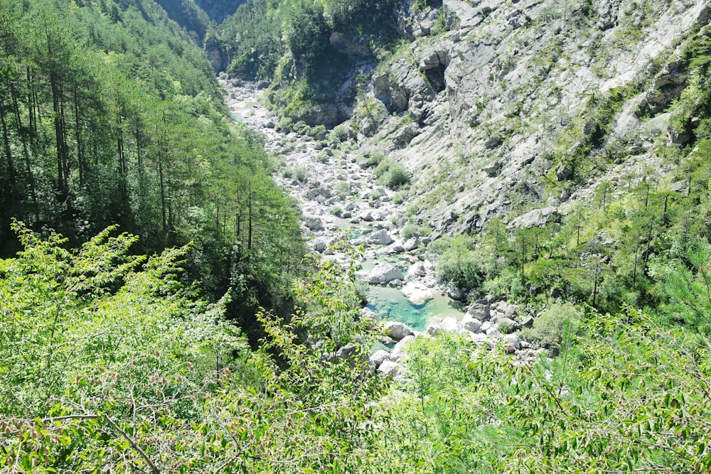 a river running through a valley