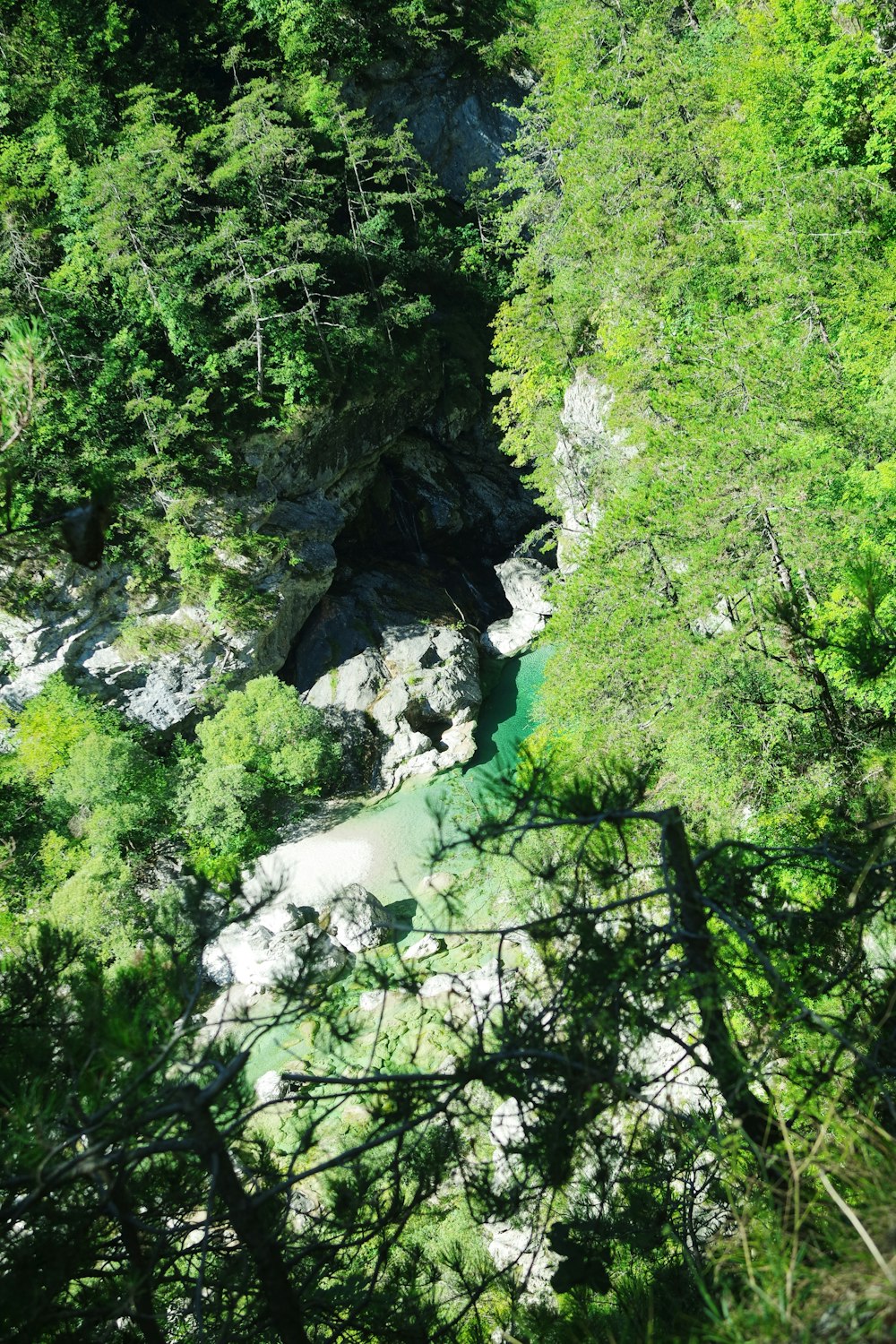 a waterfall in a forest