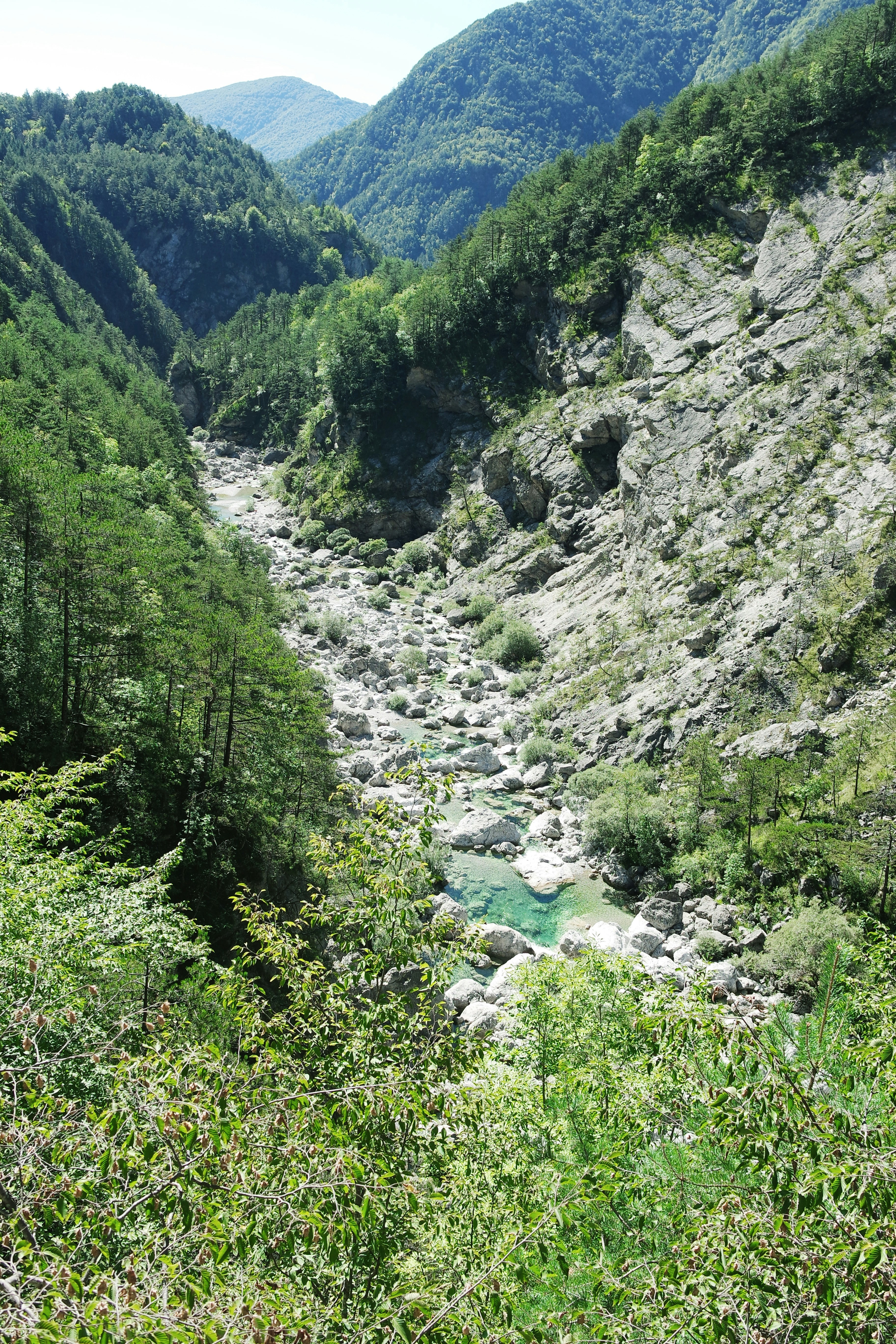 Photo by gvgraphica178