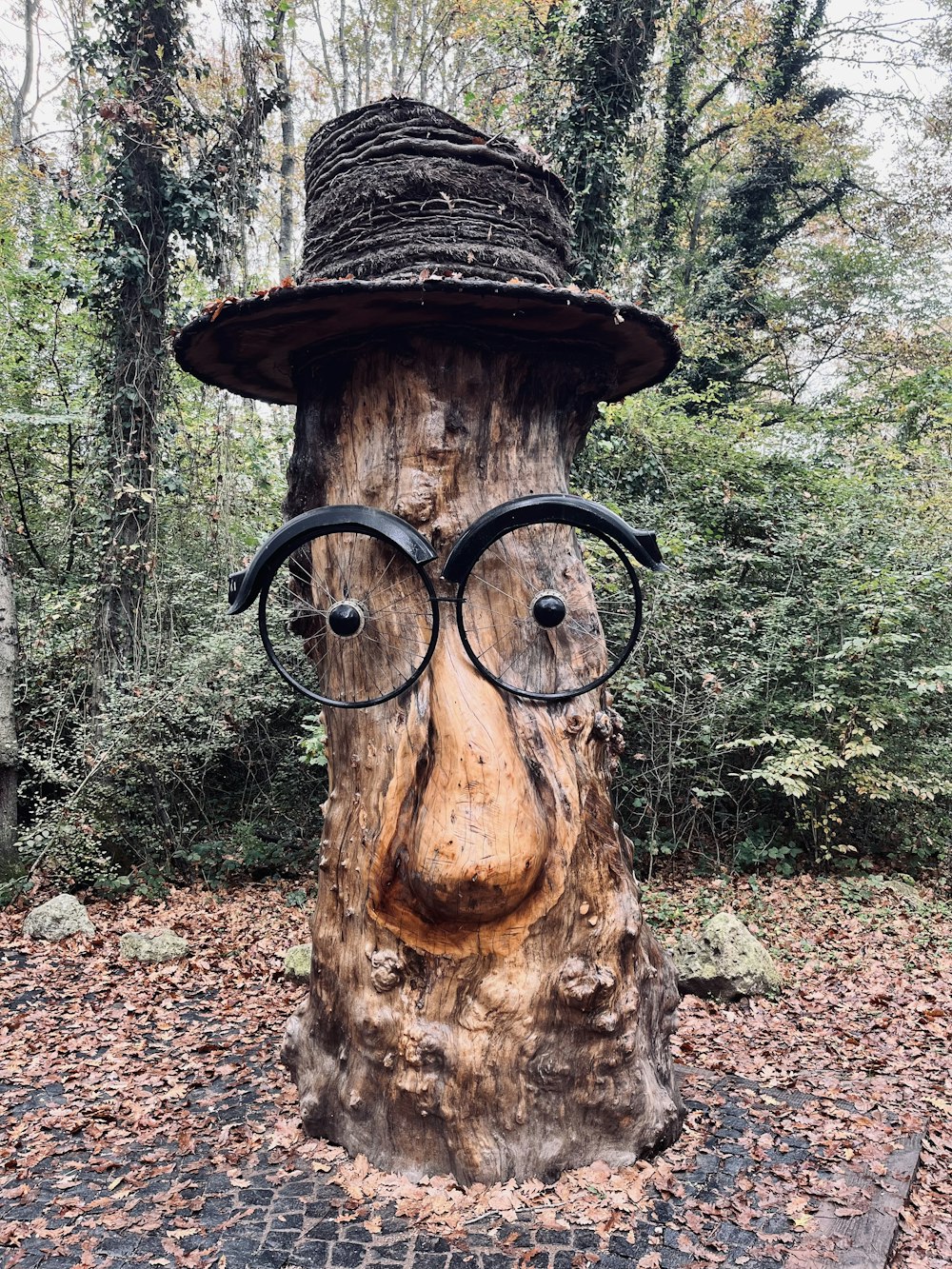 a tree stump with a hat and glasses on it