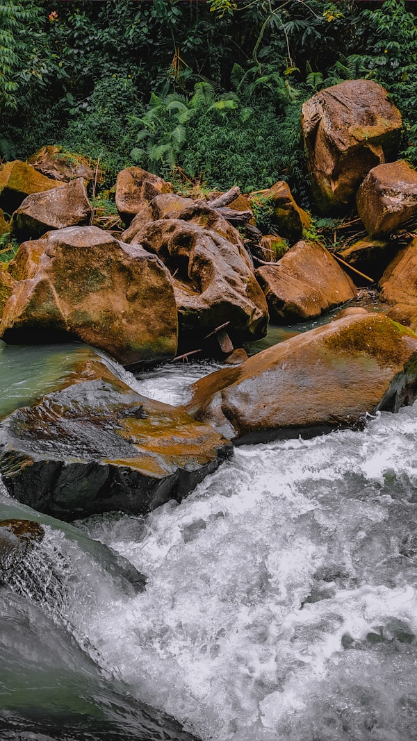 Best Time to Visit South Sumatra: Weather & Seasons Guide