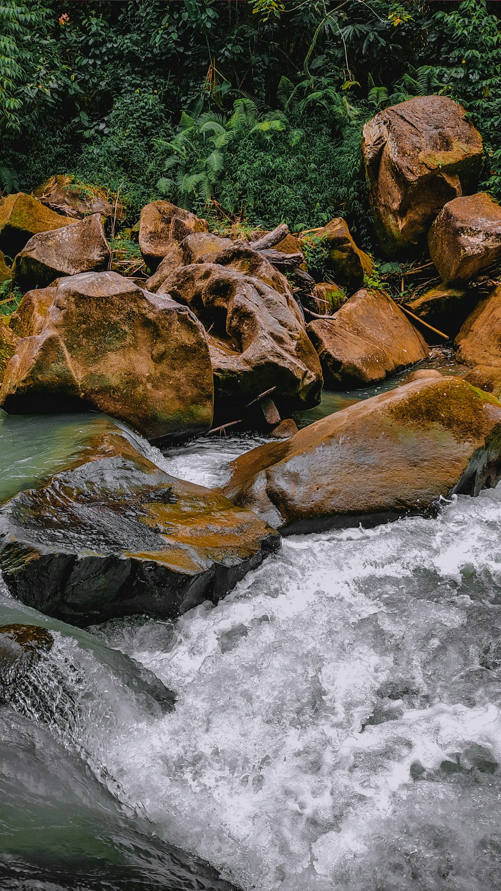 Ein Fluss mit Felsen und Bäumen