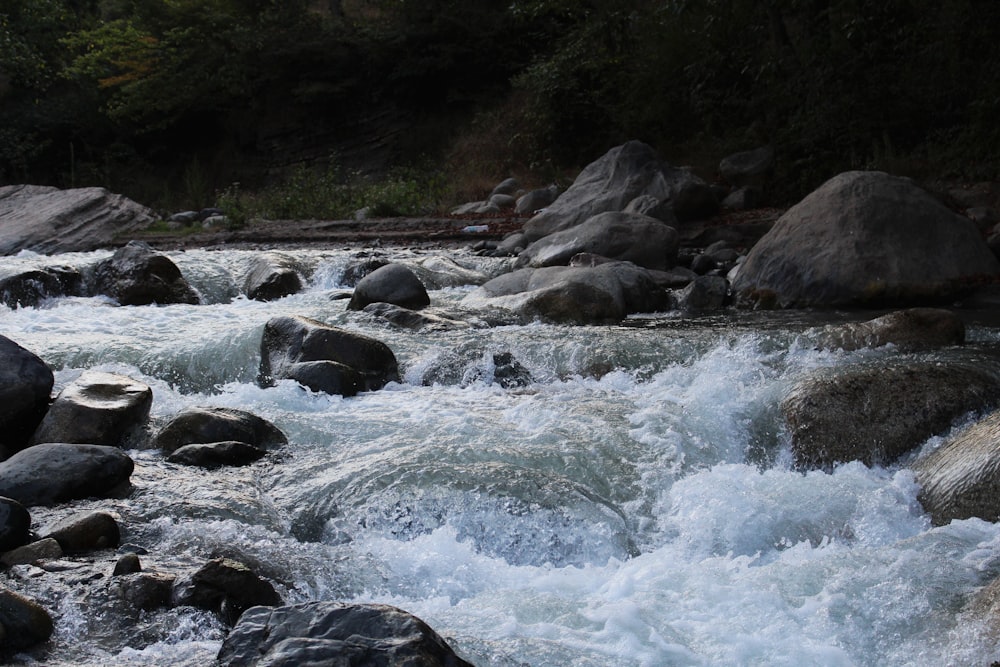 a river with rocks