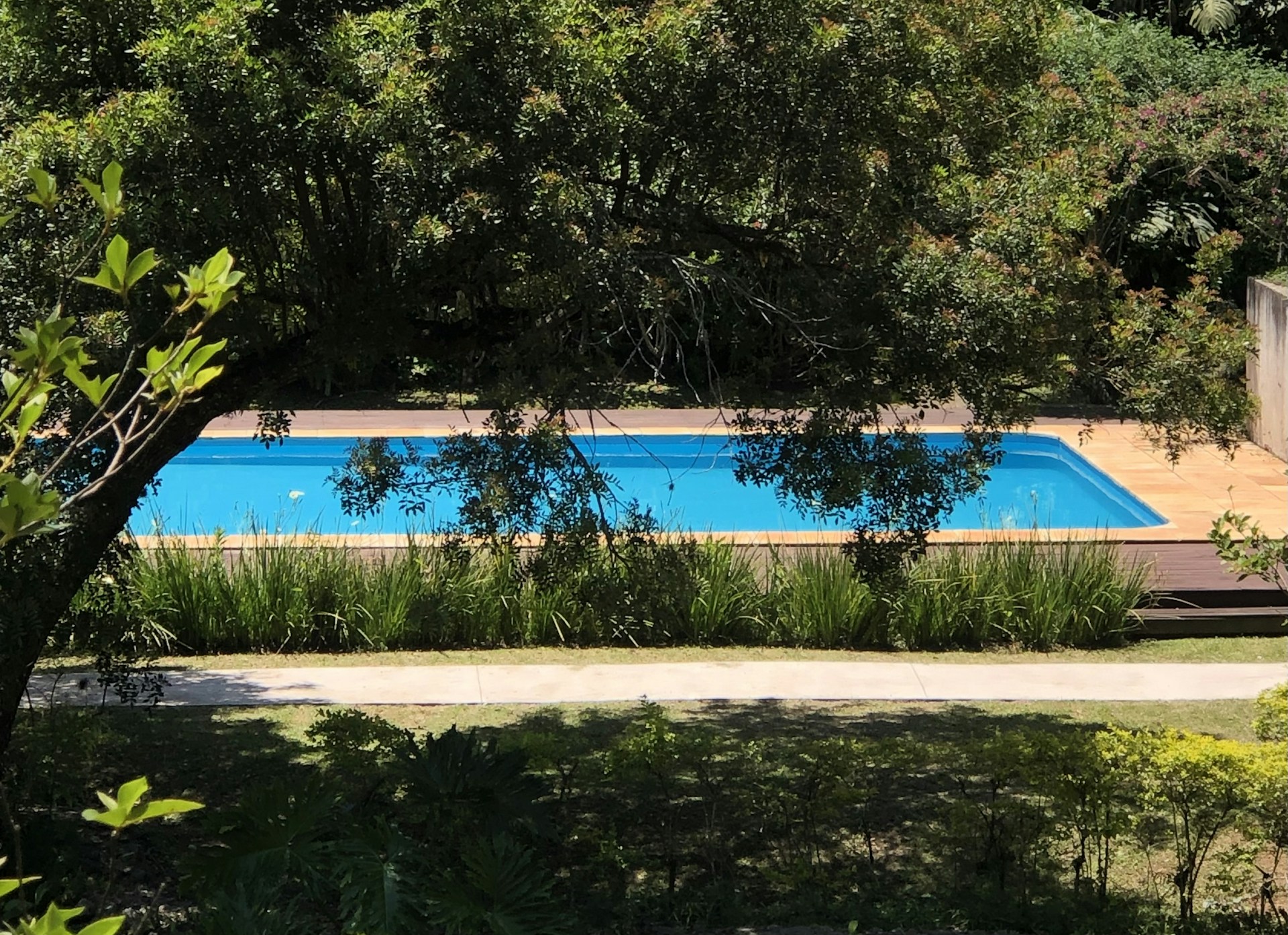 a swimming pool surrounded by trees