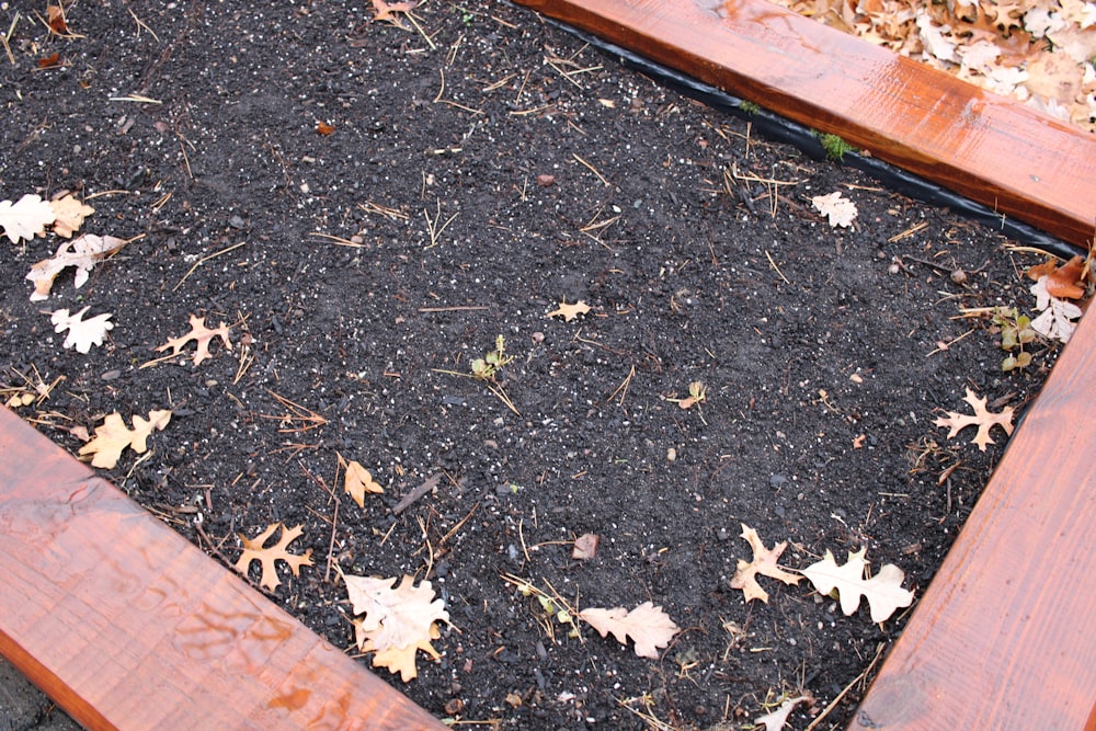 a pile of leaves on the ground