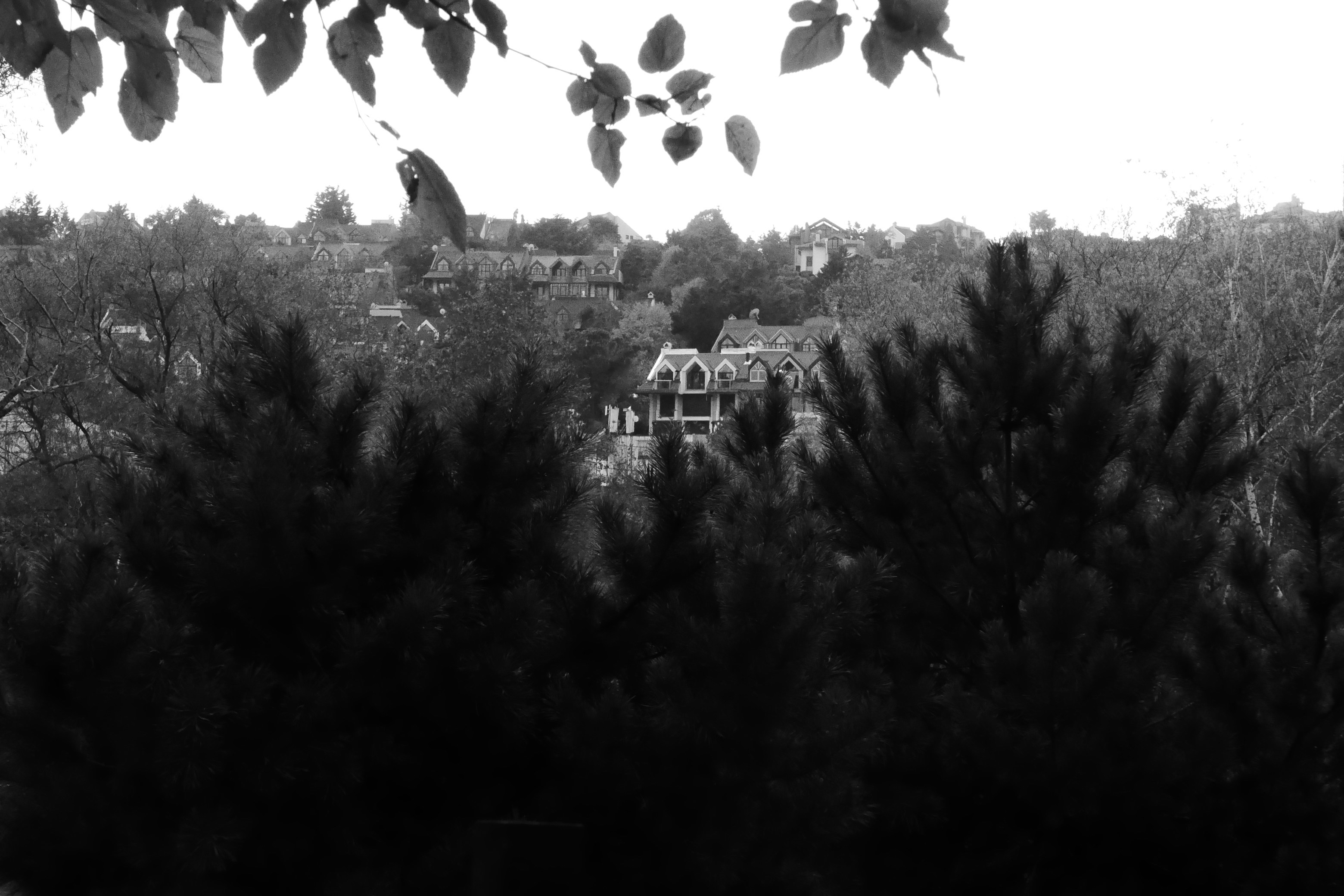 Photo by basgicilarelif