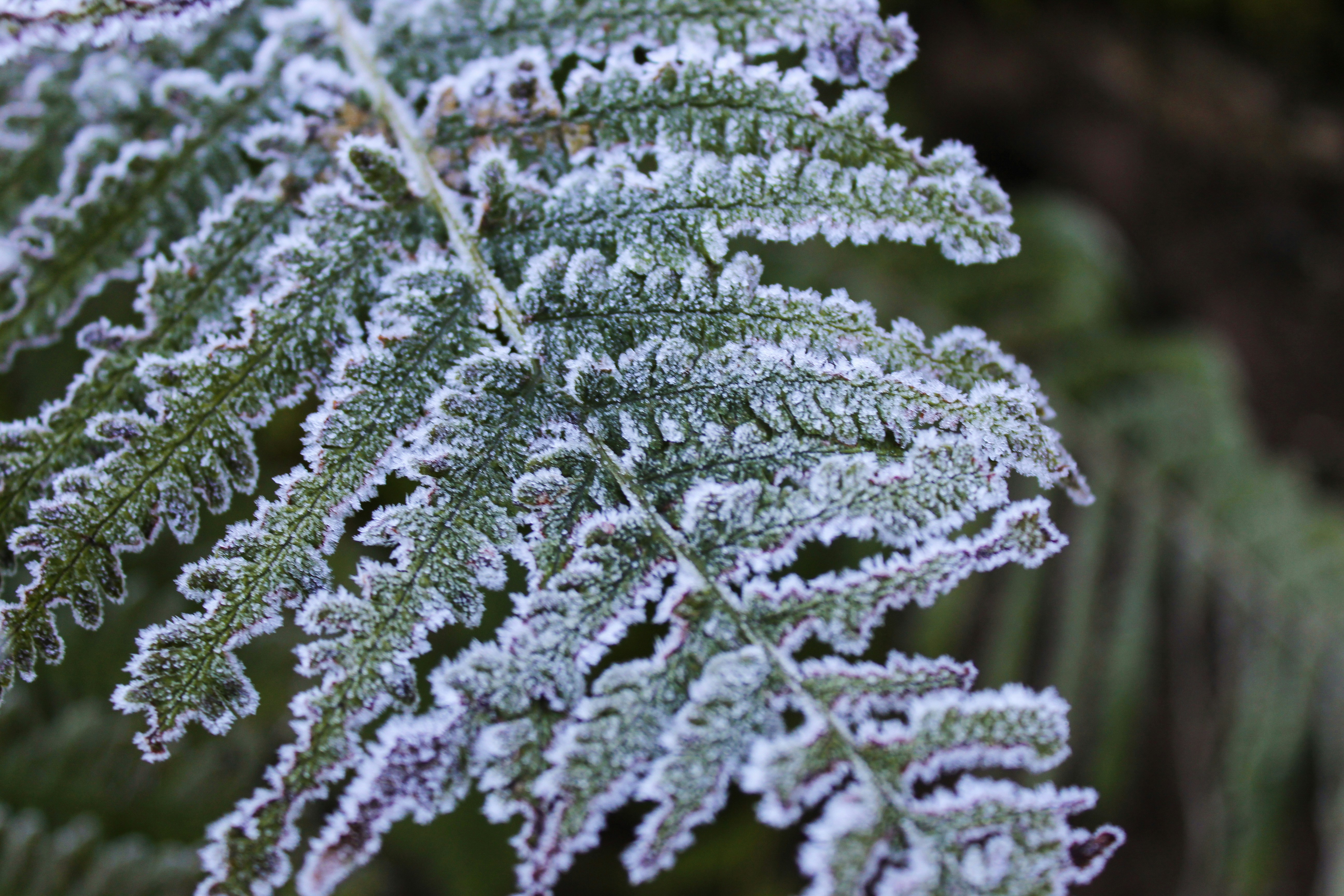 Photo by denleyphotography