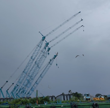 Several large cranes are positioned against an overcast sky, with their long blue arms towering towards the horizon. Seagulls are flying around, adding a touch of nature to the industrial setting. In the background, green vegetation and a few industrial structures are visible.