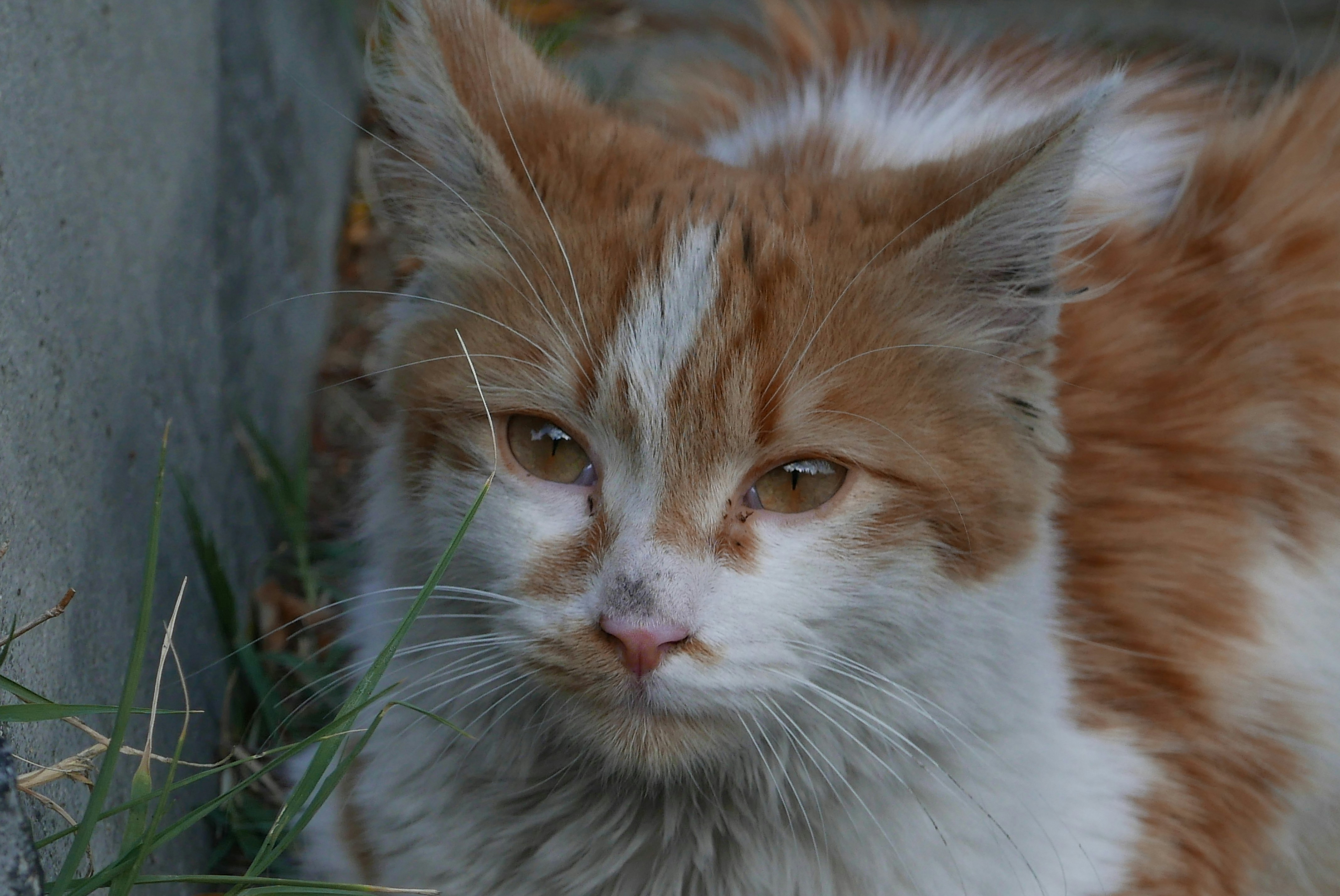 Photo by basgicilarelif