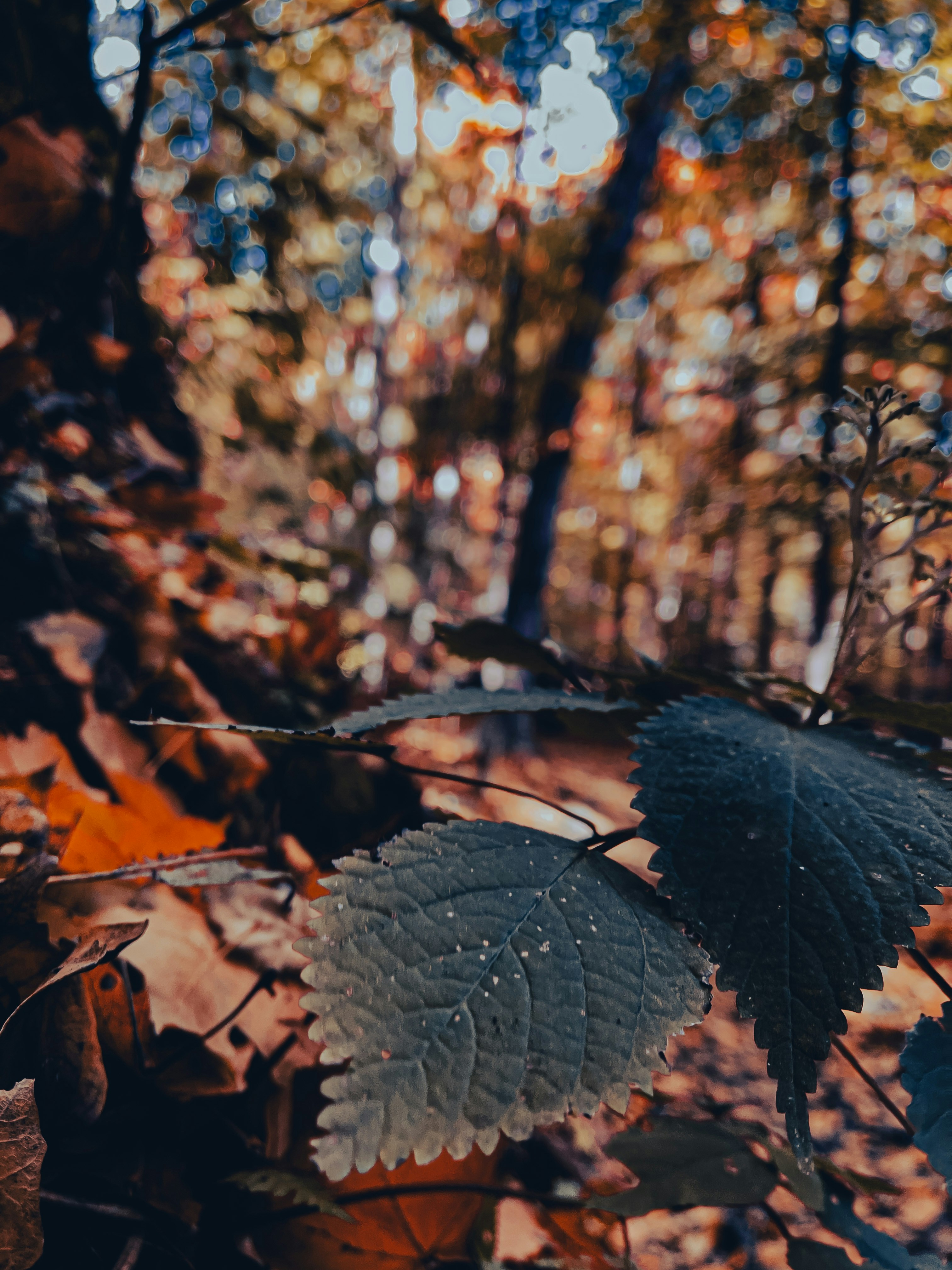 Photo by chris_thornton