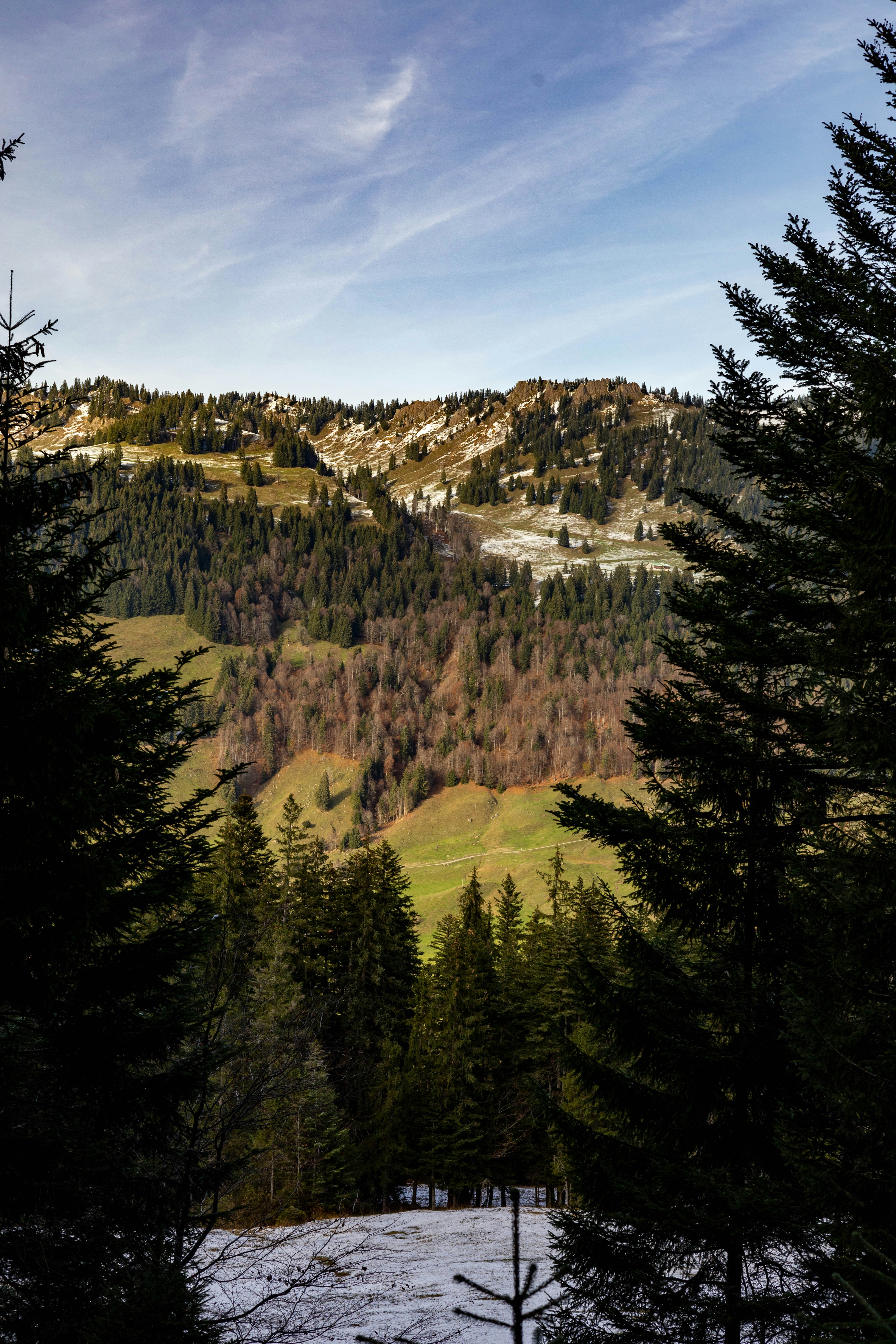 Photo by doeringphotograpy