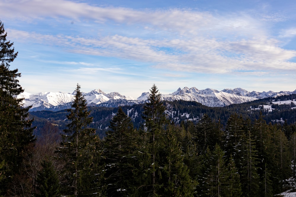 a snowy mountain range