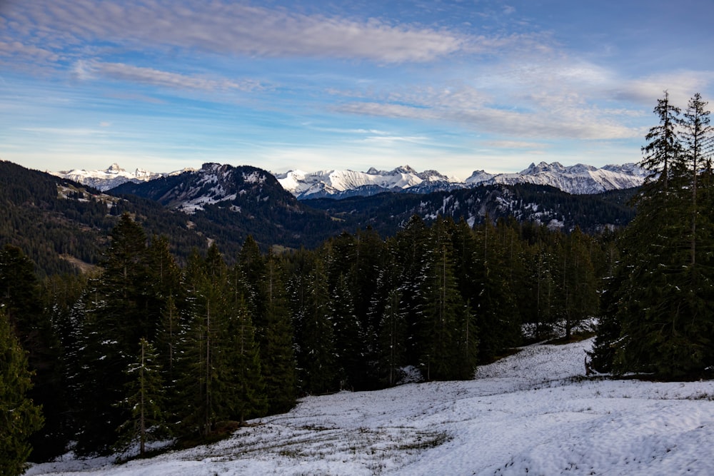 a snowy mountain with trees and mountains in the background