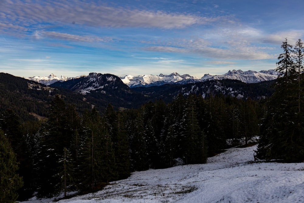 a snowy mountain range