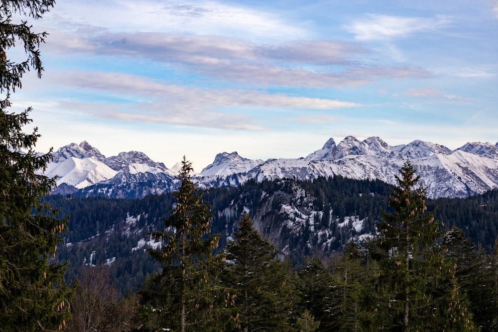 a snowy mountain range