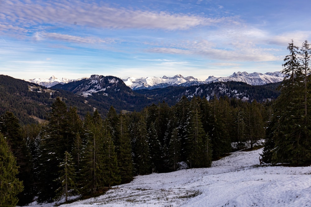 a snowy mountain with trees and mountains in the background