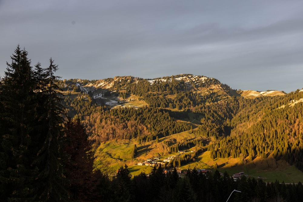 a landscape with trees and mountains