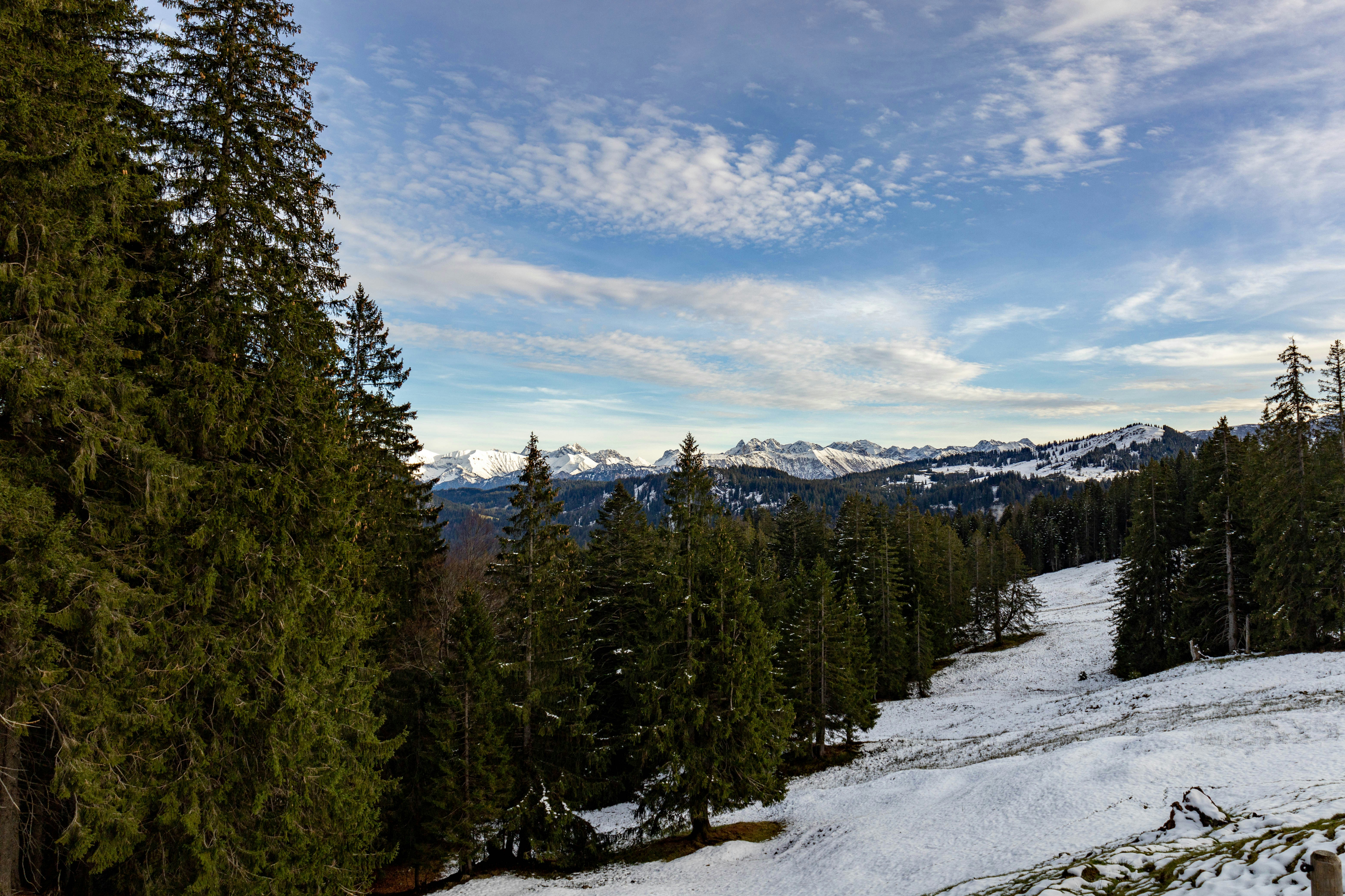 Photo by doeringphotograpy