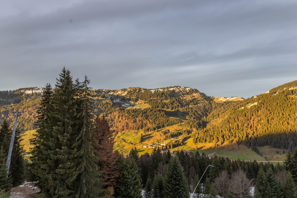 a landscape with trees and mountains