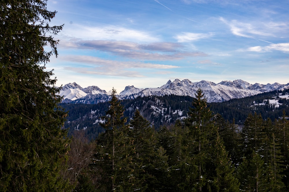 a snowy mountain range