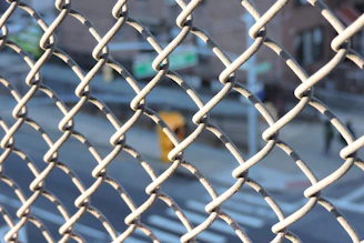 a chain link fence
