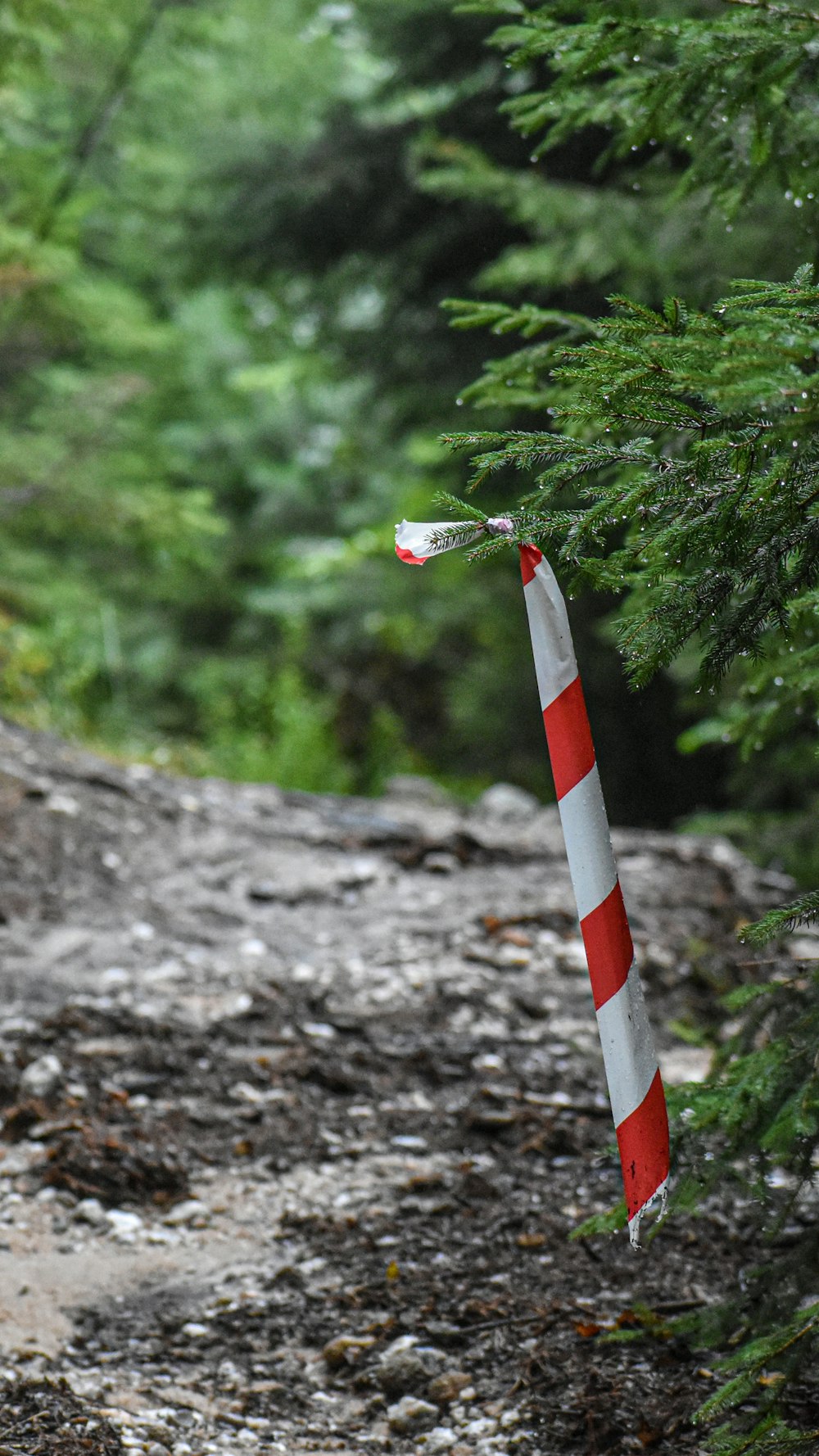 a red and white rocket on a rocky trail