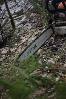 A chainsaw is lying on the forest floor amidst fallen branches and sawdust. The chainsaw is partially covered by green foliage, suggesting recent use in a wooded environment. The bar shows a recognizable brand name and model.