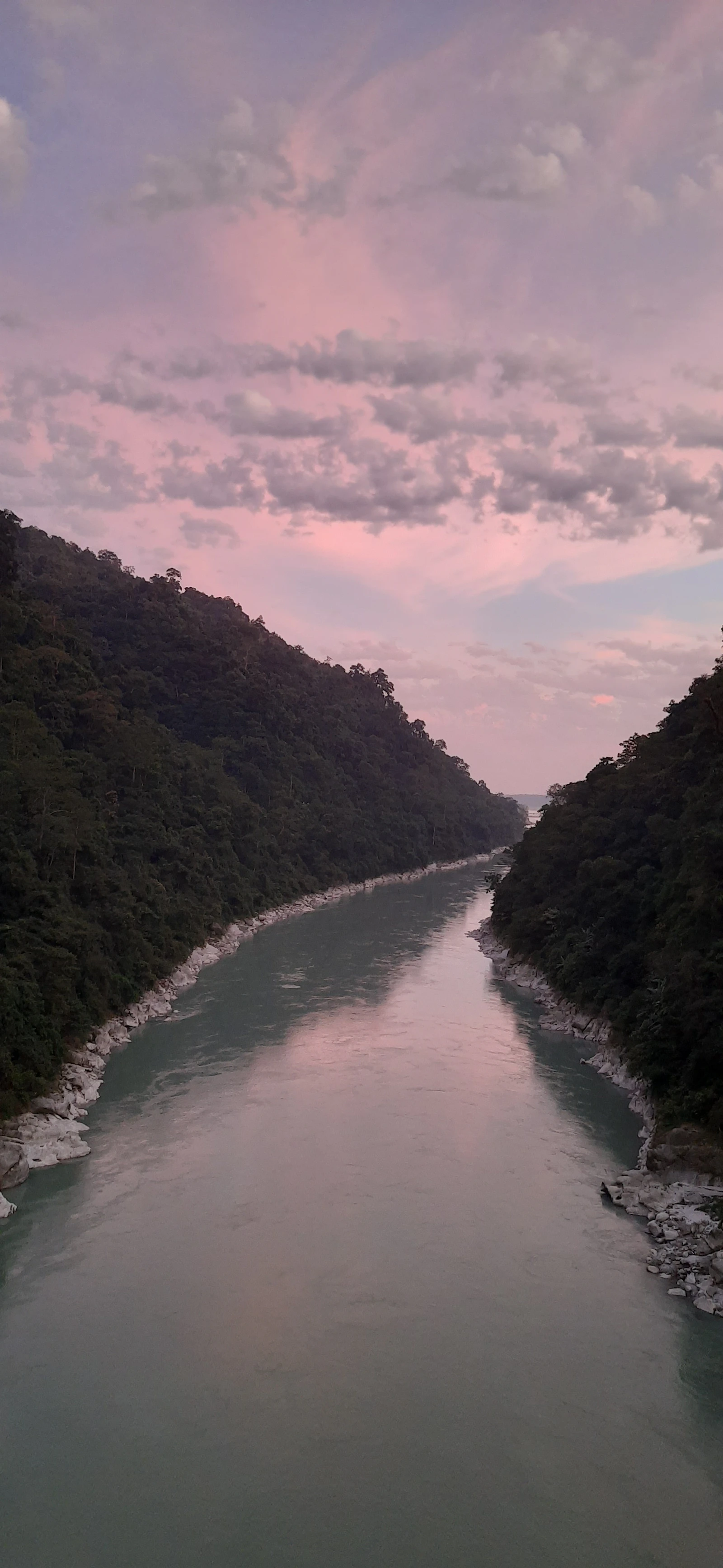 The green Teesta running out of its forested gorge at Sevoke, seen from the Coronation Bridge under a pink evening sky