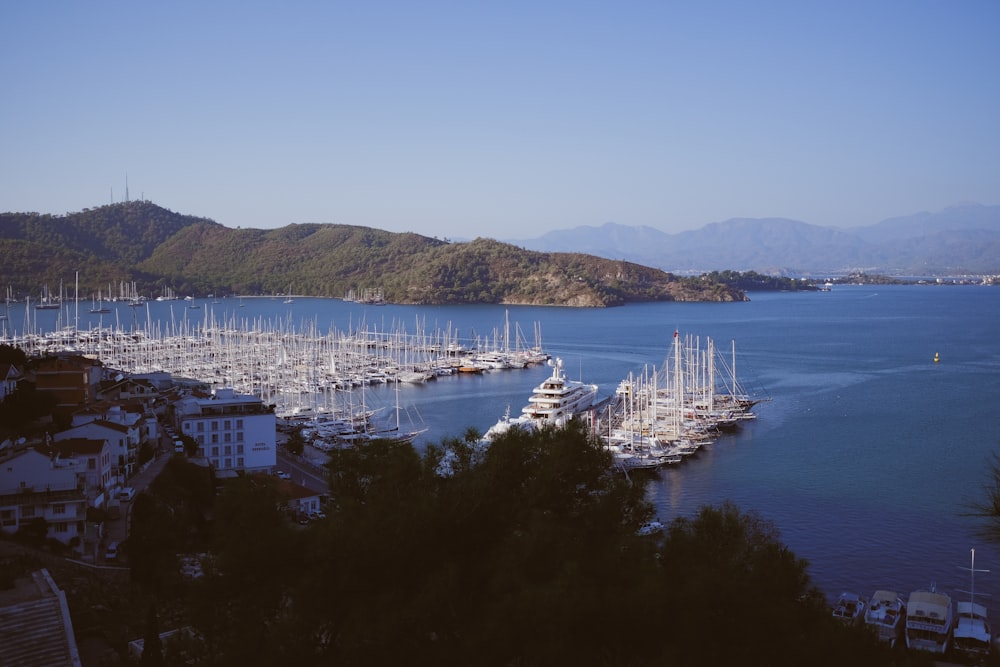 Une marina avec de nombreux bateaux