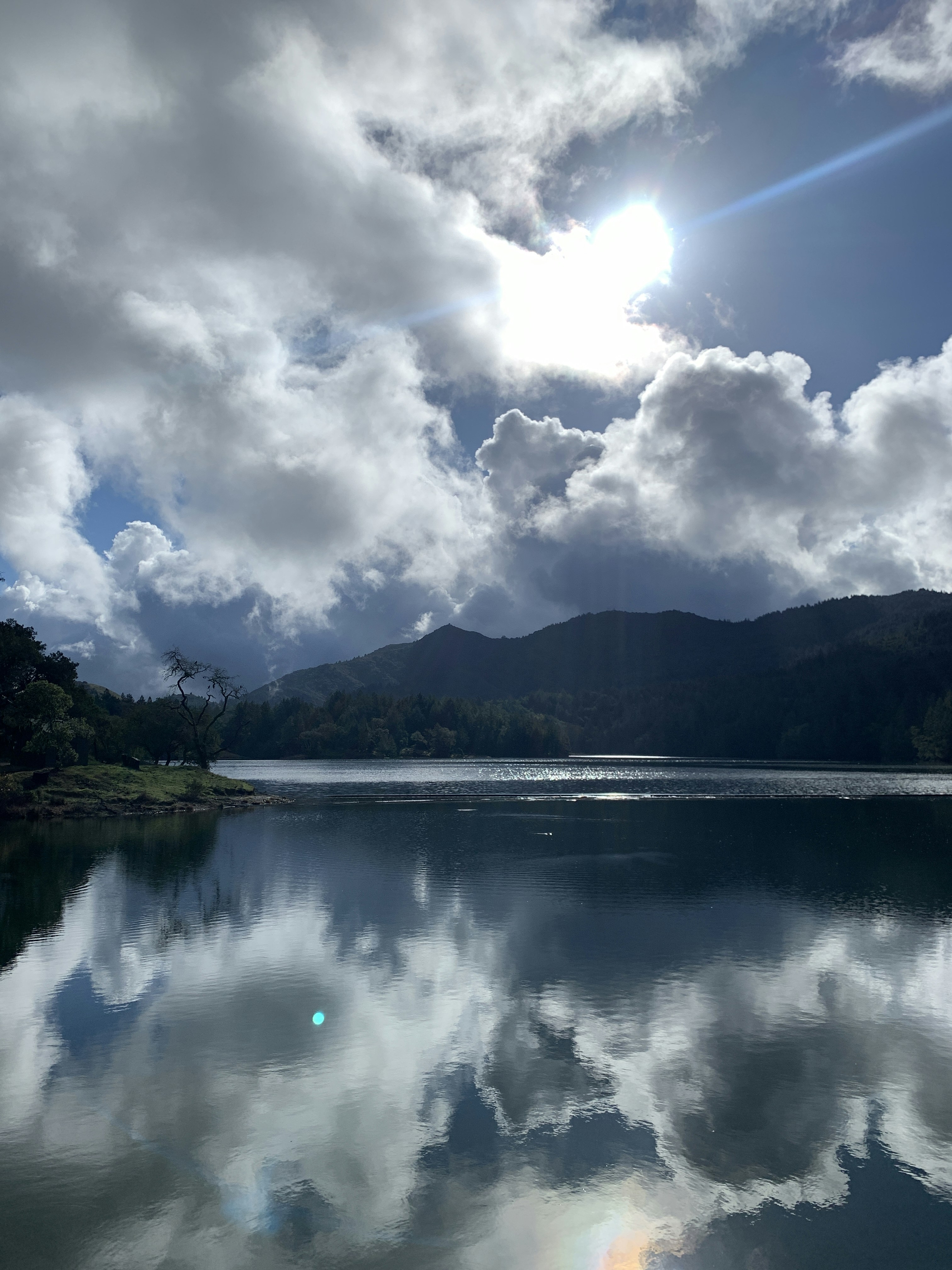 Photo by citizenswain