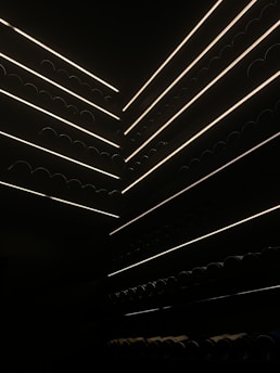 Several rows of wine bottles are stacked horizontally in a dimly lit storage area with narrow strips of light illuminating the shelves. The scene creates a sharp contrast between the dark environment and the subtle, glowing lines that highlight the outlines of the bottles.